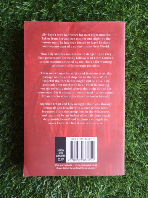 Redemption – Julie Chibbaro secondhand book