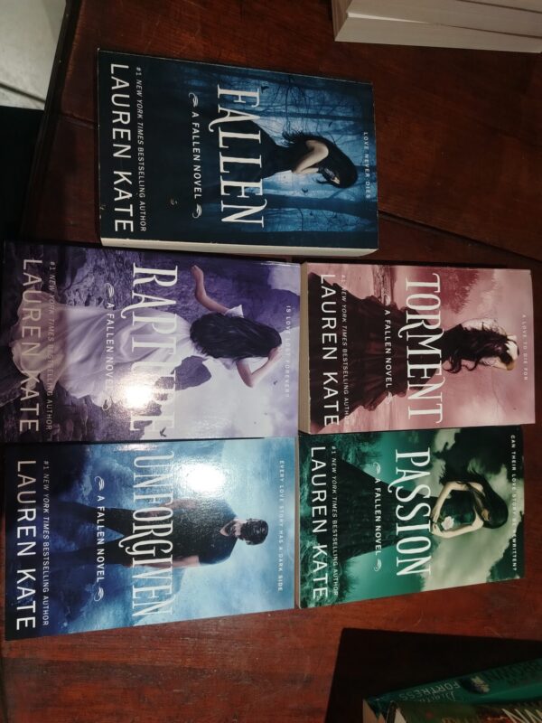 Fallen Series – Lauren Kate secondhand book