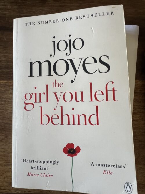 The Girl You Left Behind - Jojo Moyes