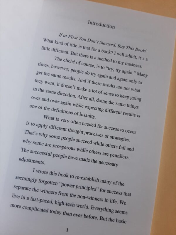 If At First You Don’t Succeed, Buy This Book! – David P. Schloss secondhand book