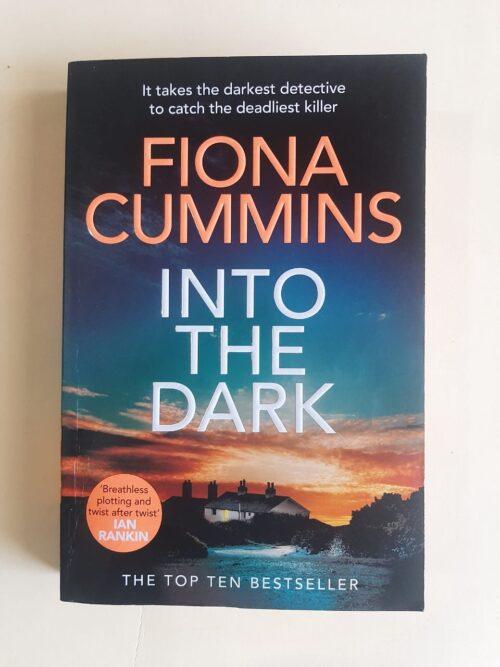 Into The Dark – Fiona Cummins