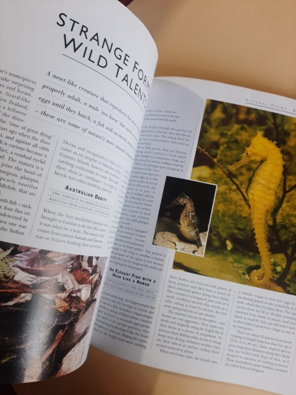 Nature’s Masterpieces – Reader’s Digest secondhand book