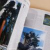 Nature’s Masterpieces – Reader’s Digest secondhand book