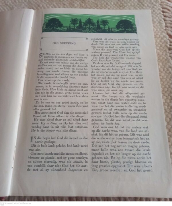 Die Bybelse Geskiedenisse: Deel 1, Die Ou Testament — W.G. Van Der Hulst secondhand book