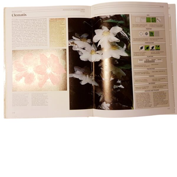 The South African Gardener's Survival Manual – Ann Bonar