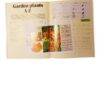 The South African Gardener's Survival Manual – Ann Bonar