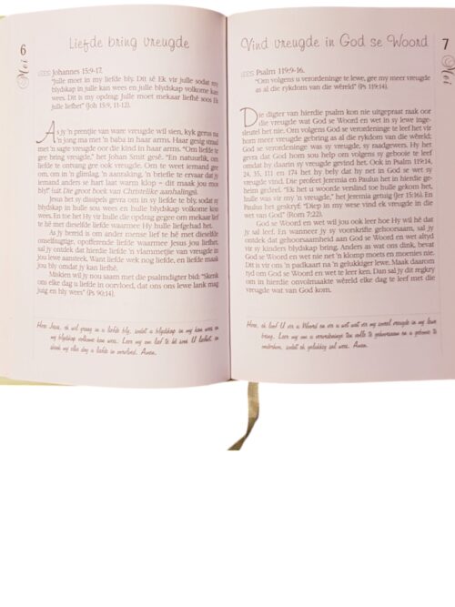 Bybelse Dagboek Vir Die Vrou – Nina Smit secondhand book