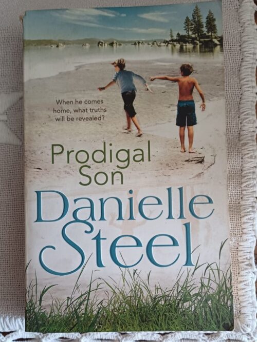 Prodigal Son - Danielle Steel
