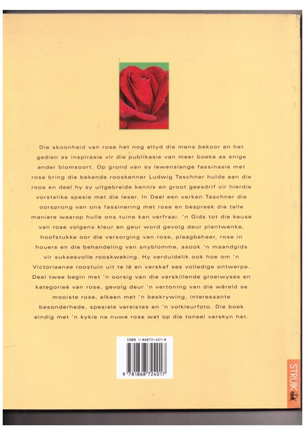 Rose -- Ludwig Taschner