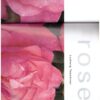 Rose -- Ludwig Taschner
