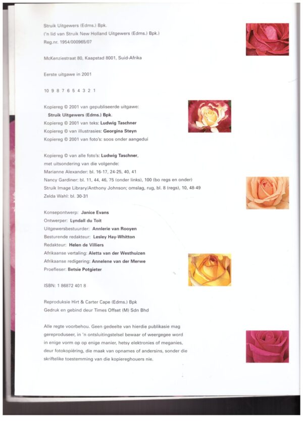 Rose -- Ludwig Taschner