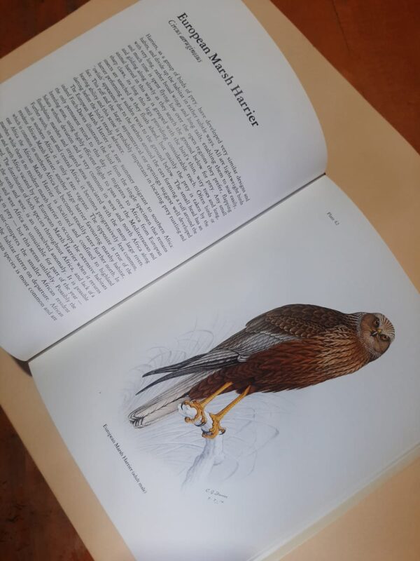 The Birds Of Prey Of Southern Africa - C.G. Finch-Davies, A.C. Kemp