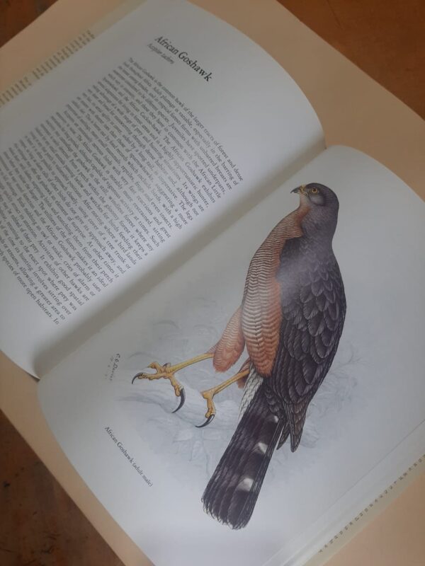 The Birds Of Prey Of Southern Africa - C.G. Finch-Davies, A.C. Kemp