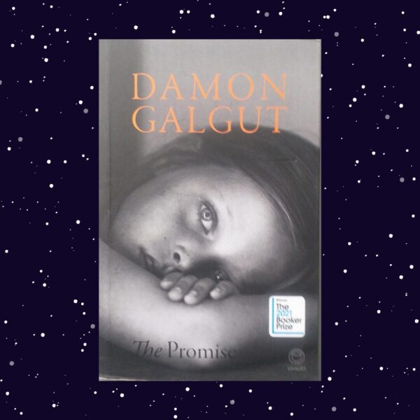 The Promise - Damon Galgut