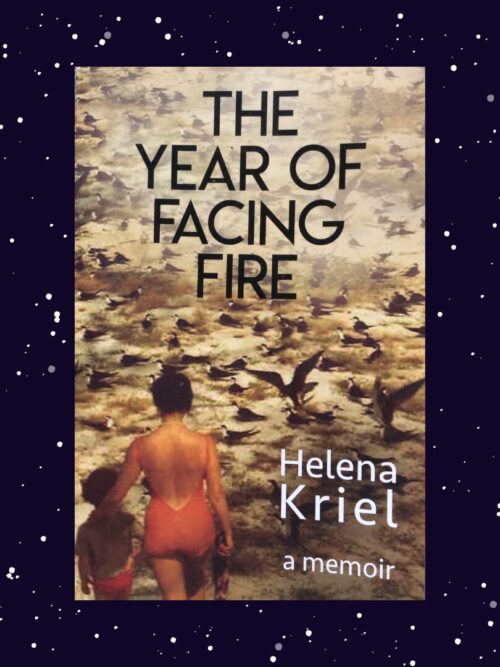 The Year Of Facing Fire - Helena Kriel
