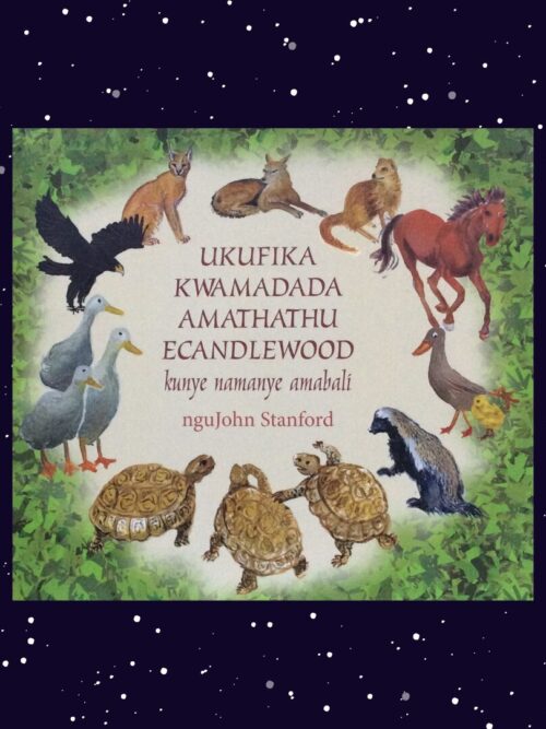 Ukufika Kwamadada Amathathu eCandlewood - nguJohn Stanford