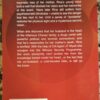 Double Vision – Fiona Brand secondhand book