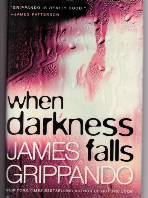 When Darkness Falls -- James Grippando