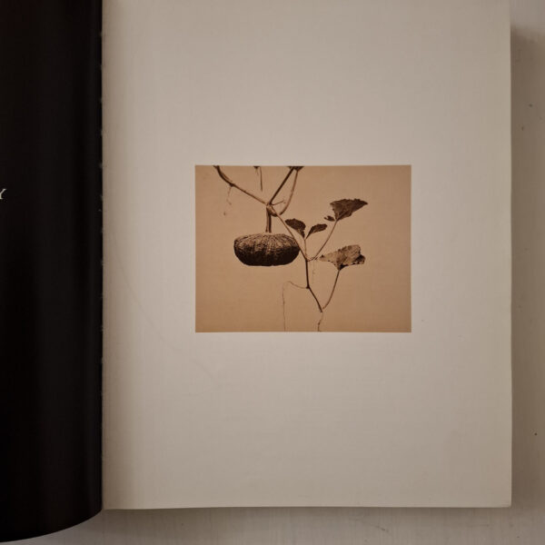 The History Of Japanese Photography – Anne Wilkes Tucker secondhand book