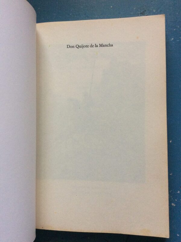 Don Quijote – Miguel De Cervantes, André P Brink secondhand book