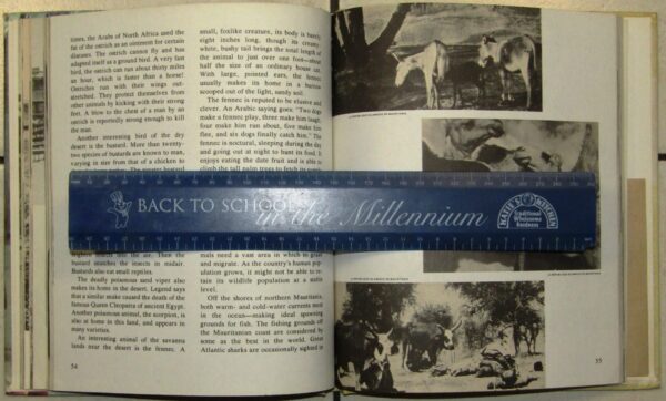 Enchantment Of Africa: Mauritania – Allen Carpenter, James Hughes secondhand book