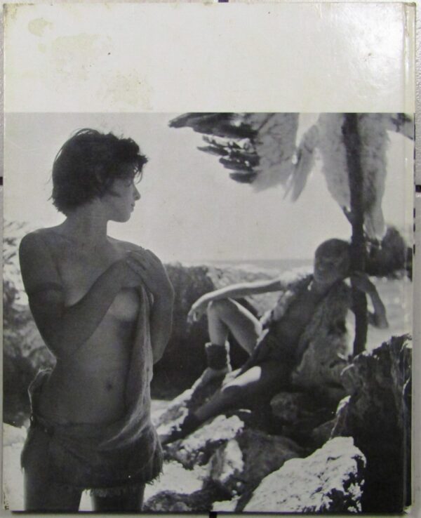 Junge Aphroditen – Nikos Koundourus (German) secondhand book