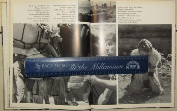 Junge Aphroditen – Nikos Koundourus (German) secondhand book