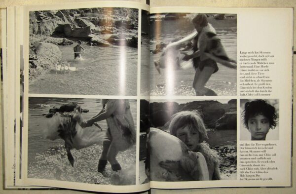 Junge Aphroditen – Nikos Koundourus (German) secondhand book