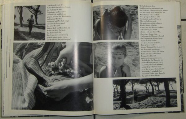 Junge Aphroditen – Nikos Koundourus (German) secondhand book