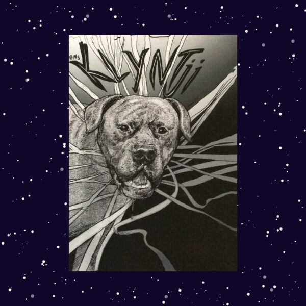 Ons Klyntji – Vol.128, 2024 secondhand book