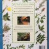 The New Guide To Herbs – Andi Clevely secondhand book