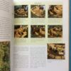 The New Guide To Herbs – Andi Clevely secondhand book