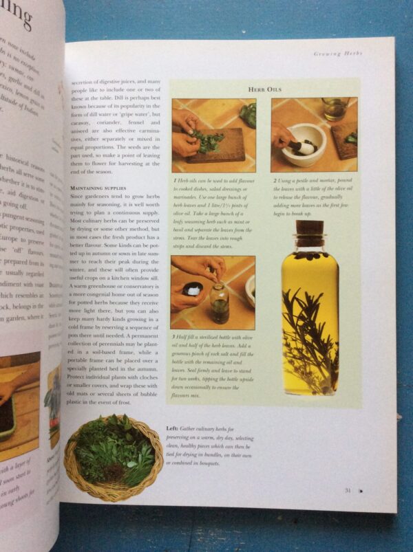 The New Guide To Herbs – Andi Clevely secondhand book