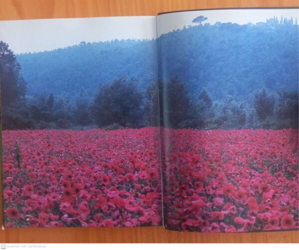 Toscana — Helga Schnehagen, Rainer Kiedrowski secondhand book