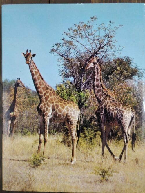South Africa’s Wildlife Heritage – Anthony Bannister, Peter Johnson secondhand book