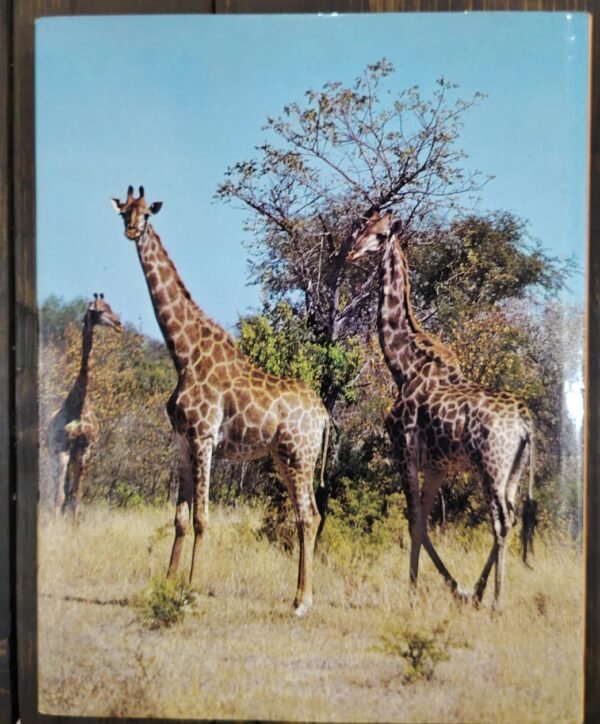 South Africa’s Wildlife Heritage – Anthony Bannister, Peter Johnson secondhand book