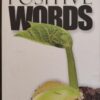 The Power Of Positive Words – Dr Theo Wolmarans secondhand book