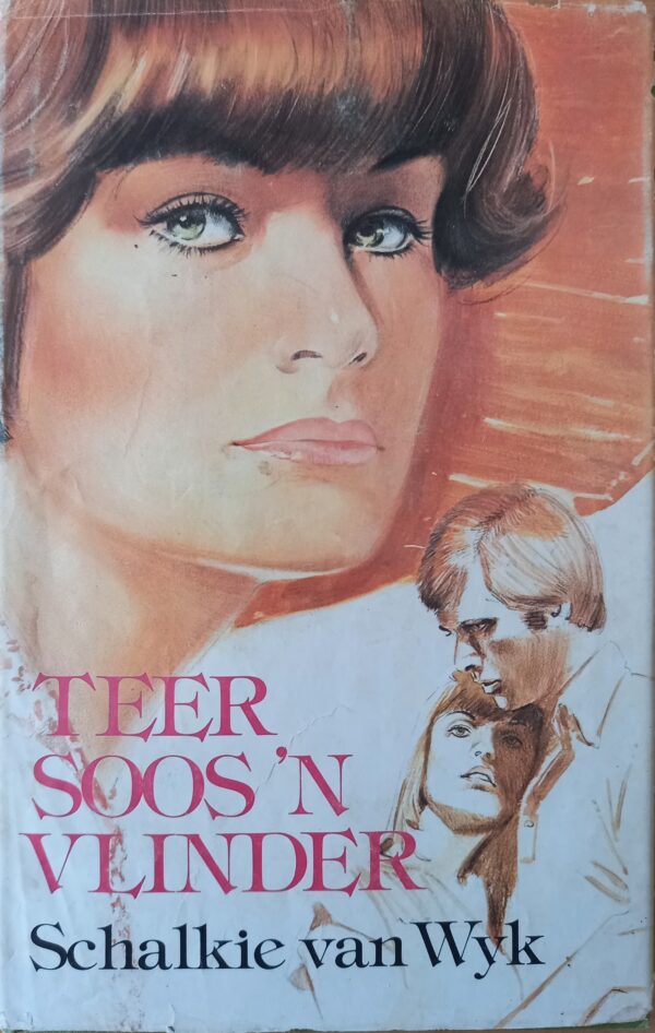 Teer Soos ‘n Vlinder – Schalkie Van Wyk secondhand book