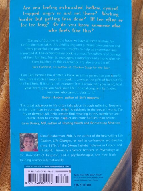 The Joy Of Burnout – Dr Dina Glouberman secondhand book