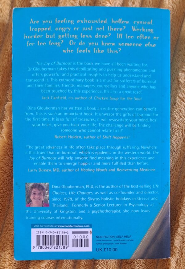 The Joy Of Burnout – Dr Dina Glouberman secondhand book