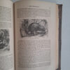 The Polar And Tropical Worlds, Two Volumes In One – Dr. G. Hartwig secondhand book