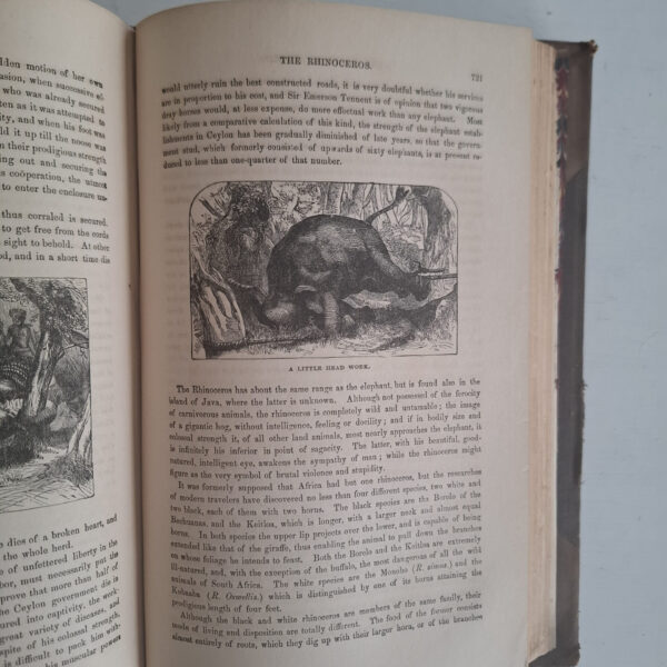 The Polar And Tropical Worlds, Two Volumes In One – Dr. G. Hartwig secondhand book