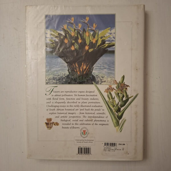 South African Botanical Art: Peeling Back The Petals – Marion Arnold secondhand book