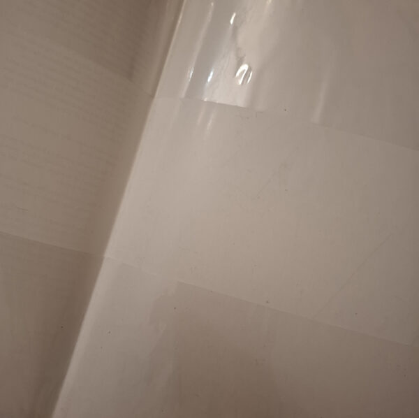 South African Botanical Art: Peeling Back The Petals – Marion Arnold secondhand book