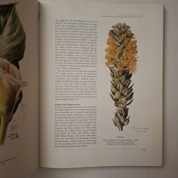 South African Botanical Art: Peeling Back The Petals – Marion Arnold secondhand book