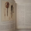 South African Botanical Art: Peeling Back The Petals – Marion Arnold secondhand book