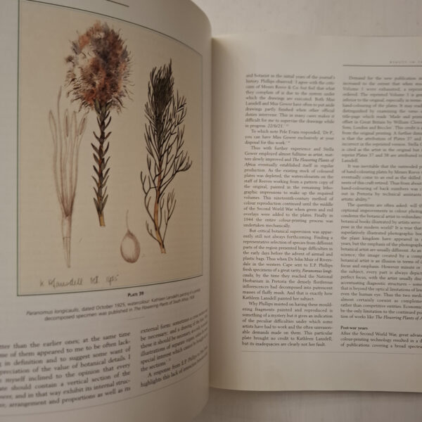 South African Botanical Art: Peeling Back The Petals – Marion Arnold secondhand book