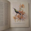 South African Botanical Art: Peeling Back The Petals – Marion Arnold secondhand book