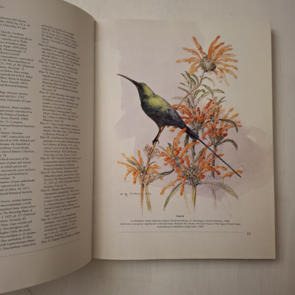 South African Botanical Art: Peeling Back The Petals – Marion Arnold secondhand book