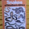 A Field Guide To The Snakes Of Southern Africa – VFM FitzSimons secondhand book